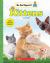 Kittens (Be an Expert!) (paperback)