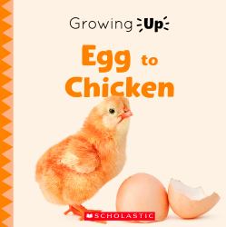 Egg to Chicken (Growing up) (Library Edition)