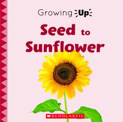 Seed to Sunflower (Growing up) (Library Edition)