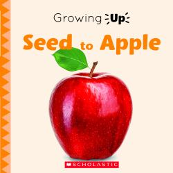 Seed to Apple (Growing Up) (Paperback)