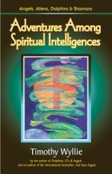 Adventures among Spiritual Intelligences : Angels, Aliens, Dolphins and Shamans