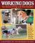 Working Dogs : True Stories of Dogs and Their Handlers