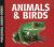 Animals and Birds : Preschool Board-Books