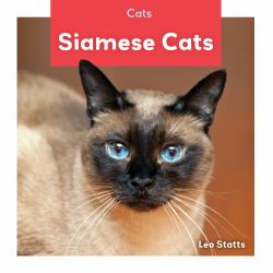 Siamese Cats