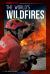 The World's Wildfires