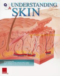 Understanding Skin Flip Chart