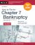 How to File for Chapter 7 Bankruptcy