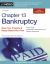 Chapter 13 Bankruptcy : Keep Your Property and Repay Debts over Time