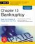 Chapter 13 Bankruptcy : Keep Your Property and Repay Debts over Time