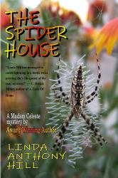 The Spider House