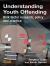 Understanding Youth Offending