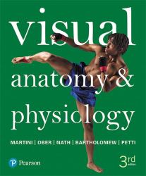 Visual Anatomy and Physiology