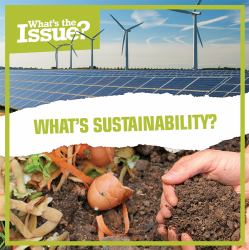 What's Sustainability?