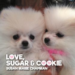 LOVE, SUGAR and COOKIE