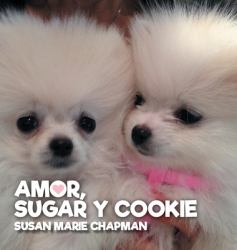 Love, Sugar and Cookie : Spanish Version