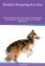 Shetland Sheepdog Activities Shetland Sheepdog Tricks, Games and Agility. Includes: Shetland Sheepdog Beginner to Advanced Tricks, Series of Games, Agility and More