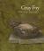 Gray Foy : Drawings 1941-1975