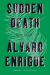 Sudden Death : A Novel