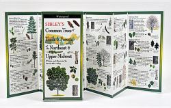 Sibley's Trees of Trails and Forests of the Northeast and Upper Midwest