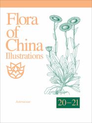 Flora of China Illustrations, Volume 20-21 : Asteraceae