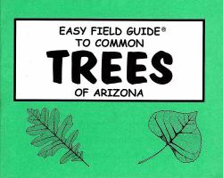 Easy Field Guide to Common Trees of Arizona