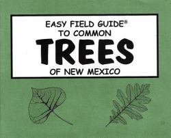 Easy Field Guide to Common Trees of New Mexico