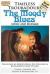 Timeless Troubadours : The Moody Blues Music and Message