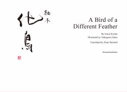 A Bird of a Different Feather a Picture Book