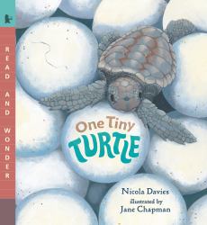 One Tiny Turtle : Read and Wonder