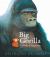 Big Gorilla: a Book of Opposites