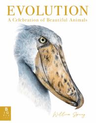 Evolution: a Celebration of Beautiful Animals