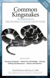 Common Kingsnakes