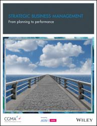 Strategic Business Management : From Planning to Performance