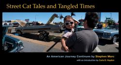 Street Cat Tales and Tangled Times : An American Journey Continues