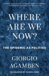 Where Are We Now? : The Epidemic As Politics