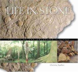 Life in Stone : Fossils of the Colorado Plateau