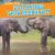 Estimating with Elephants