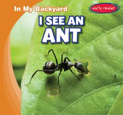 I See an Ant