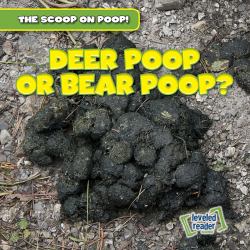 Deer Poop or Bear Poop?