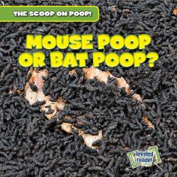 Mouse Poop or Bat Poop?