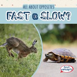 Fast or Slow?