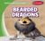 Bearded Dragons