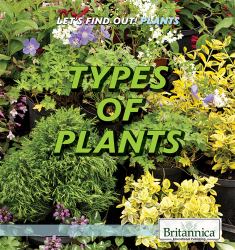 Types of Plants