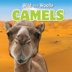 Camels