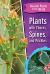 Plants with Thorns, Spines, and Prickles