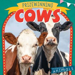 Prizewinning Cows