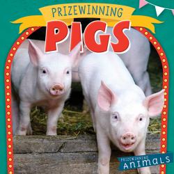 Prizewinning Pigs