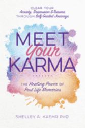 Meet Your Karma : The Healing Power of Past Life Memories