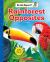 Rainforest Opposites (Be an Expert!)