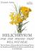 Helichrysum for the Wound That Will Not Heal : The Lost History of Immortelle, the Everlasting Flower, Its Chemistry and Helichrysum Italicum Essential Oil Uses in Aromatherapy